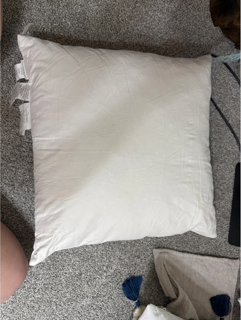 22x22 Pottery Barn White Cotton Pillow Insert with Waterfowl Feather Filling